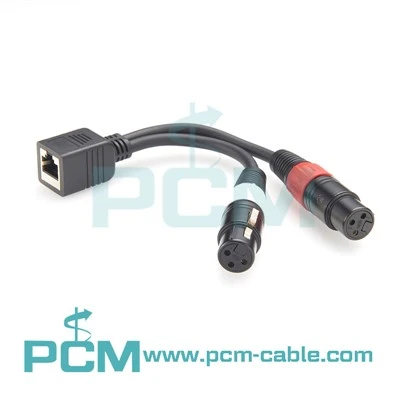 Axia Penyesuai Kabel Dwi XLR Perempuan Ke RJ45 Perempuan